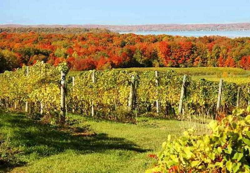 Fairfield Inn & Suites Traverse City Dış mekan fotoğraf